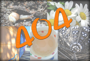 404