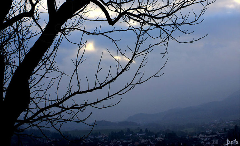 blick ins tal