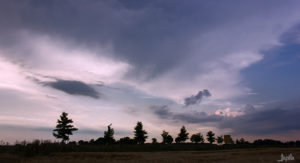 Allee von Bäumen mit lila Wolken