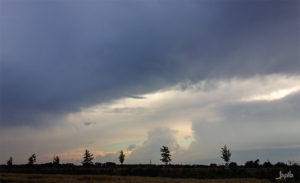 Allee mit großer Wolke im Hintergrund