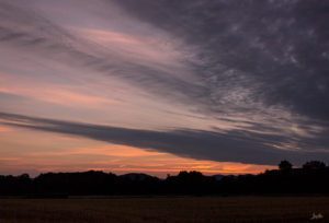 Morgenrot im Feld