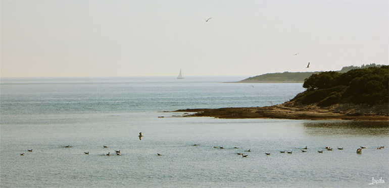 Küste Vorschaubild