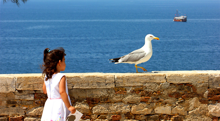 Mäedchen und Möwe Vorschaubild
