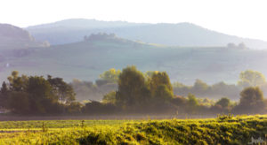Nebel am frühen Morgen