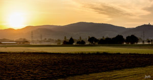 Sonnenaufgang im Feld