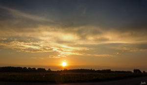 Sonnenuntergang am Feld