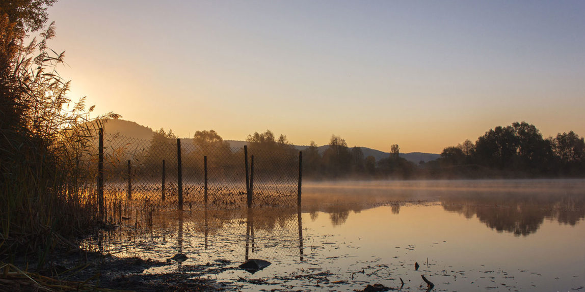 Netz-im-see-im-sonnenaufgang