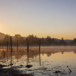 Landschaften im Nebel