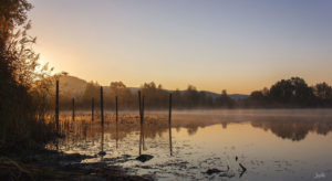 Netz-im-see-im-sonnenaufgang