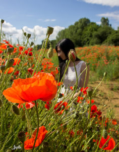shooting_im_mohn