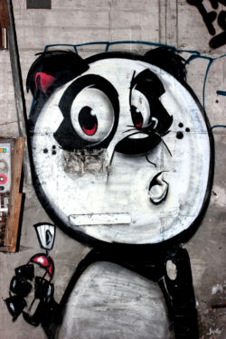 Panda-mit-Spraydose