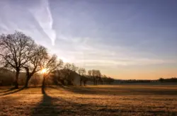 Herbstlichte Morgensonne hinter Bäumen