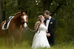 Hochzeitspaar mit Pferd