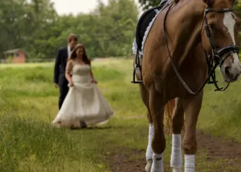 Hochzeitspaar mit ihrem Pferd