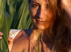 Portrait einer Frau im Maisfeld im Sommer