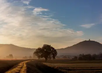 Starkenburg im Morgenlicht aufgenommen vom Feldrand