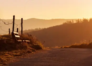 Bank am Wegrand im goldenen Licht des Tages
