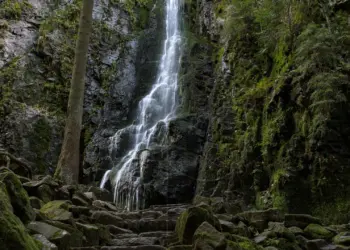 Burgbachwasserfall im grün der Felsen
