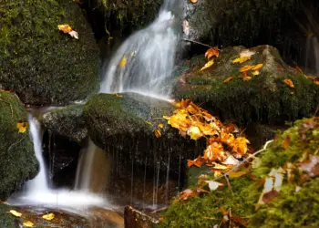Details eines kleinen Wasserfalls im Herbst
