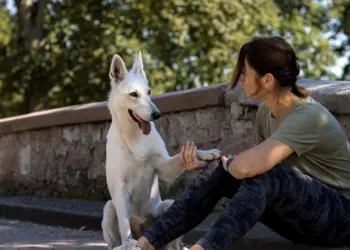 Frau mit weißem Schäferhund auf einer Brücke