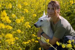 Frau mit weißem Schäferhund im Rapsfeld