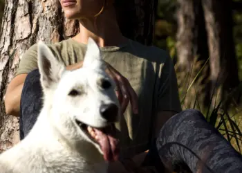 Frau mit weißem Schäferhund im Wald