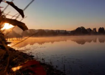 Goldener Sonnenaufgang zwischen Blättern an einem See