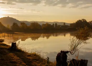 Herbstmorgen am See im goldenen Morgenlicht