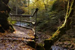 Idyllischer Wanderweg am Bachlauf