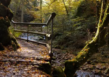 Idyllischer Wanderweg am Bachlauf
