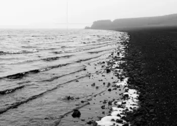 Küste mit schwarzen Steinen im Nebel auf Island
