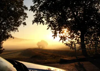 Nebliger Sonnenaufgang mit einer Schattengestalt im Licht- und Schattenspiel