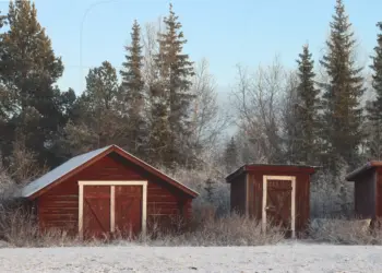 Rote Hütten vor Bäumen in Schweden