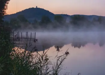 Sanftes Licht am nebligen Ufer