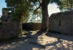Schattenspendender Baum auf der Schlossmauer