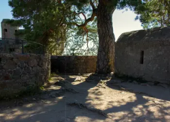Schattenspendender Baum auf der Schlossmauer