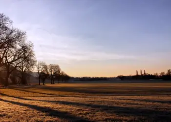 Schattenspiel der Sonne im Feld bei Heppenheim am frühen Morgen