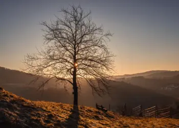 Schöner Aussichtsplatz mit Blick in die Ebene im Sonnenaufgang