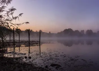 Schutznetz am See im blauen Morgenlicht