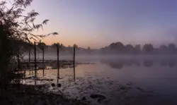 Schutznetz am See im blauen Morgenlicht