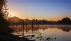 Seeufer im Sonnenaufgang mit leichtem Nebel