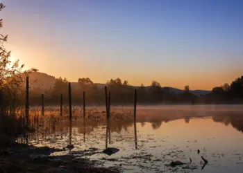 Seeufer im Sonnenaufgang mit leichtem Nebel