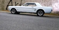 Seitenansicht eines weißen Mustangs