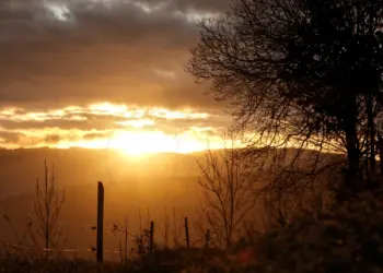 Sonnenaufgang an der Guldenklinger Höhe