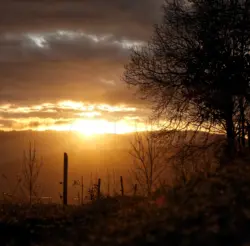 Sonnenaufgang an der Guldenklinger Höhe
