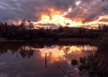 Sonnenaufgang im Naturschutzgebiet in Heppenheim