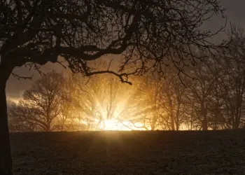 Sonnenaufgang zwischen kahlen Ästen im Herbst