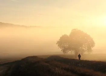 Spaziergänger/in im nebligen Sonnenaufgang