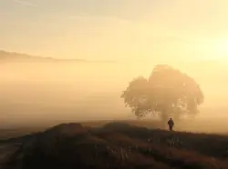 Spaziergänger/in im nebligen Sonnenaufgang