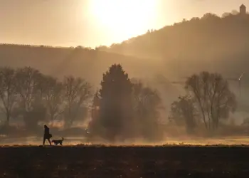Spaziergänger/in mit Hund im nebligen Sonnenaufgang in Heppenheim